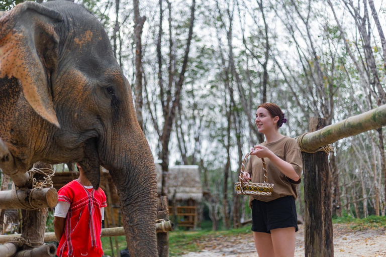 Khao Lak’s Best: Elephant Sanctuary,Rubber Tapping&Waterfall Khaolak Elephant Sanctuary Guided Tour with Hotel Transfers