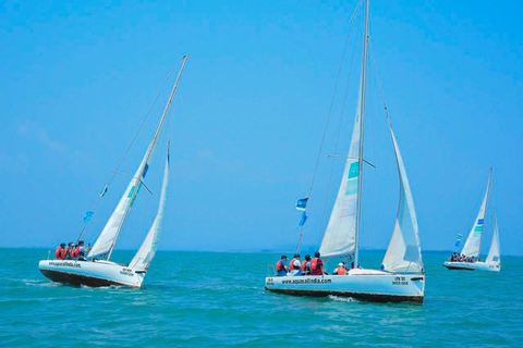 Découvrez Sailing Goa