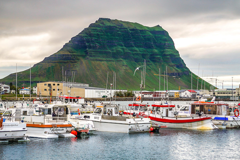 Snaefellsneshalvön och Kirkjufell - rundtur i liten gruppSnaefellsnes-halvön och Kirkjufell - tur i liten grupp