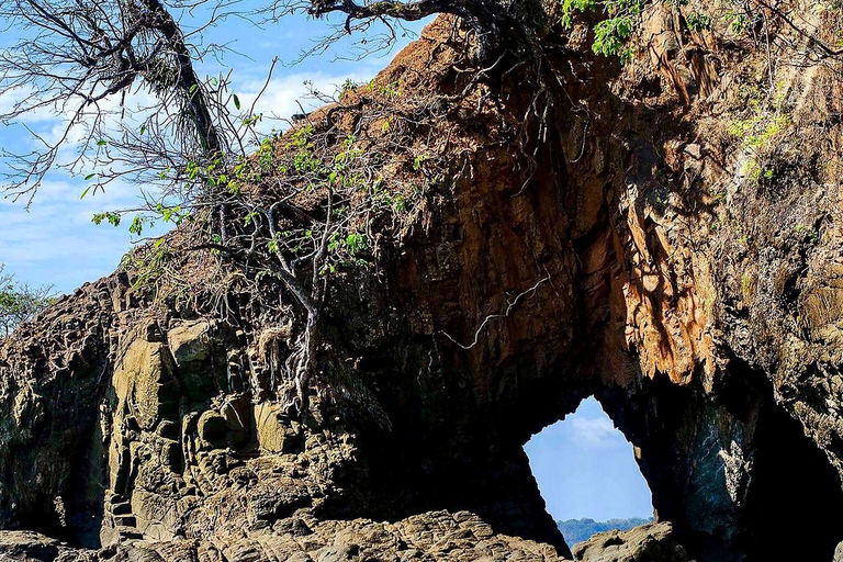 Boca Chica: Guided Kayak Tour with Lunch