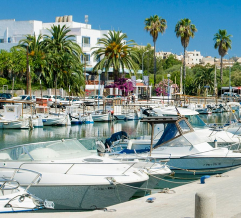Cruises & boat tours