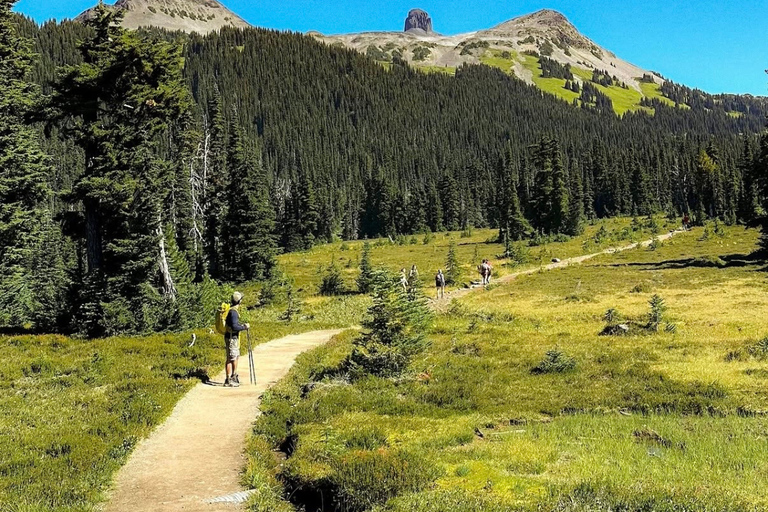 Vancouver: Panorama Ridge Private Guided Hiking Tour