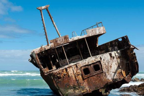 Cape Town: Cape Agulhas Tour with Lighthouse & Penguins