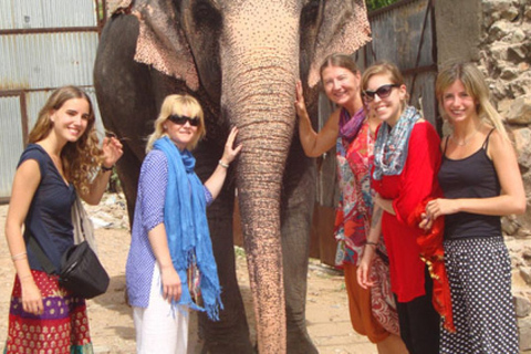 Jaipur city Private tour with guide by carGuided tour of Jaipur by car