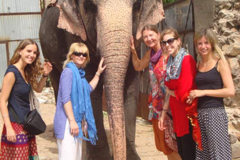 Jaipur city Private tour with guide by carGuided tour of Jaipur by car