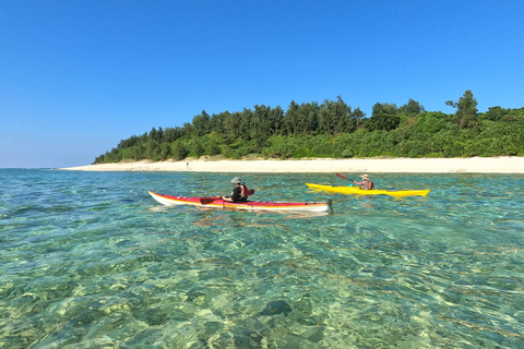 Okinawa: Private Kayak Mangrove or Reef with Native EnglishOkinawa: Private Kayak Tour with English-Speaking Guide