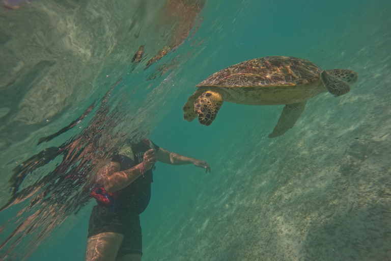 Gili Trawangan: Gili Islands Snorkeling Tour with Turtles Gili Trawangan: Snorkeling Tour with Turtles