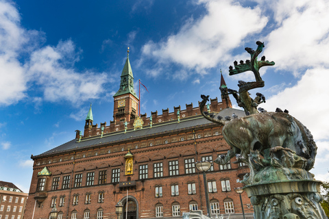 Kopenhagen: Privé Architectuur Tour met een lokale expert