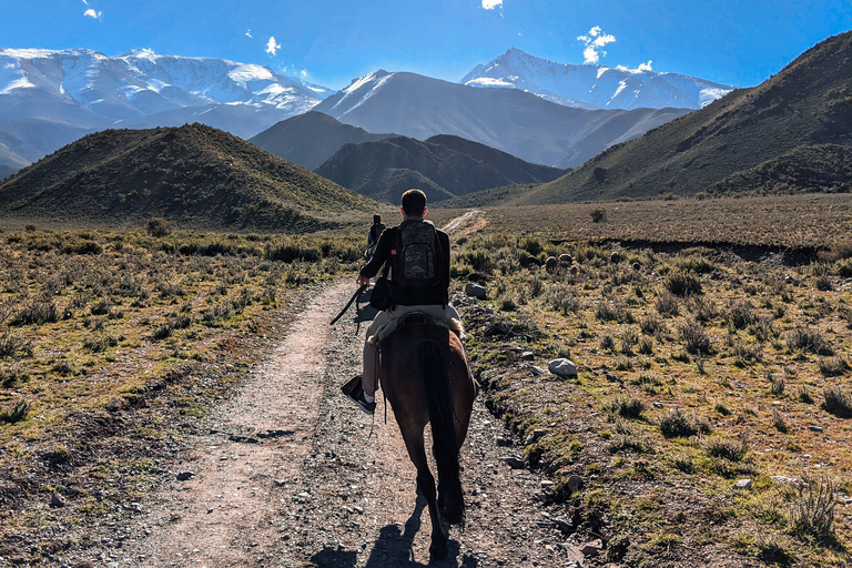 Cabalgata en Agadir visita el río de los flamencos con bebida de té