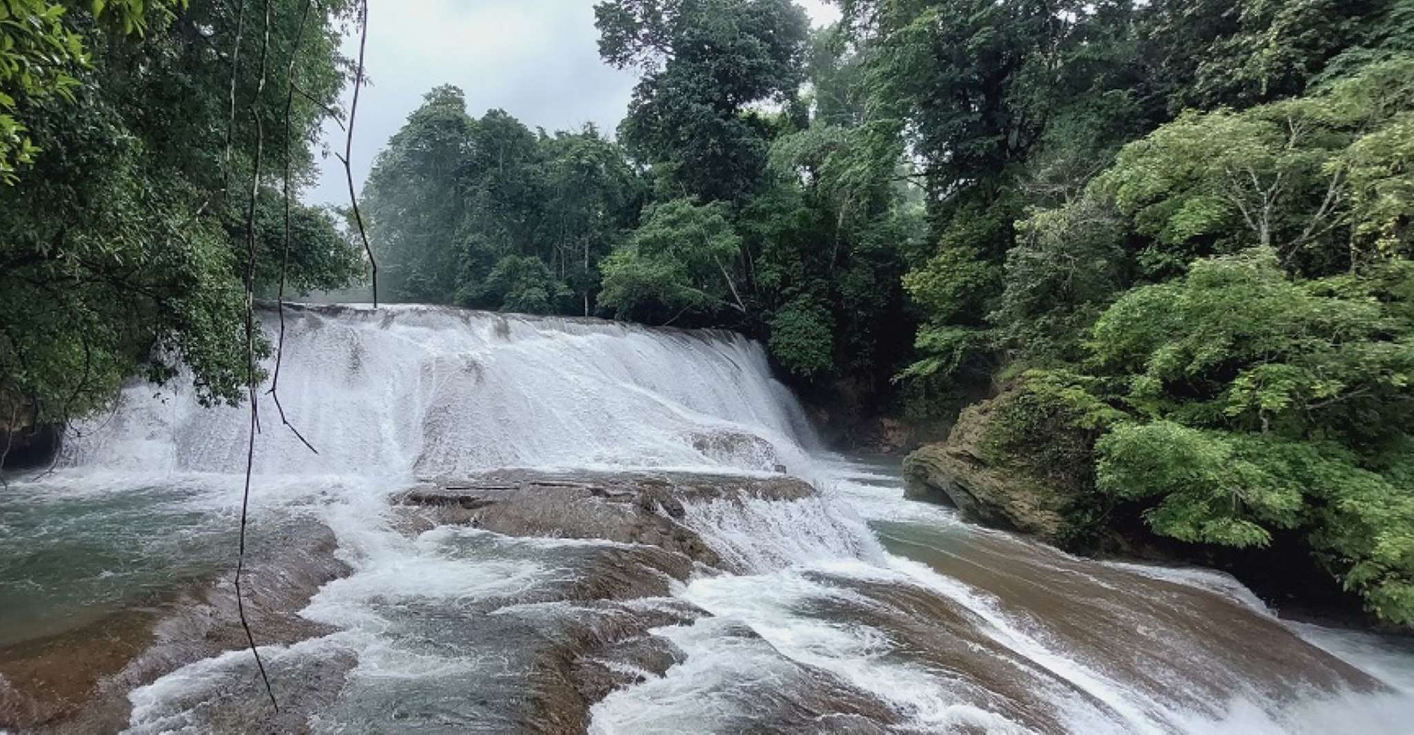 From Palenque,Wonders of the Roberto Barrios Waterfalls Tour - Housity