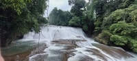 Van Palenque, wonderen van de Roberto Barrios Waterfalls Tour - Housity