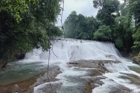 From Palenque:Wonders of the Roberto Barrios Waterfalls Tour Roberto Barrios with transfer to San Cristóbal