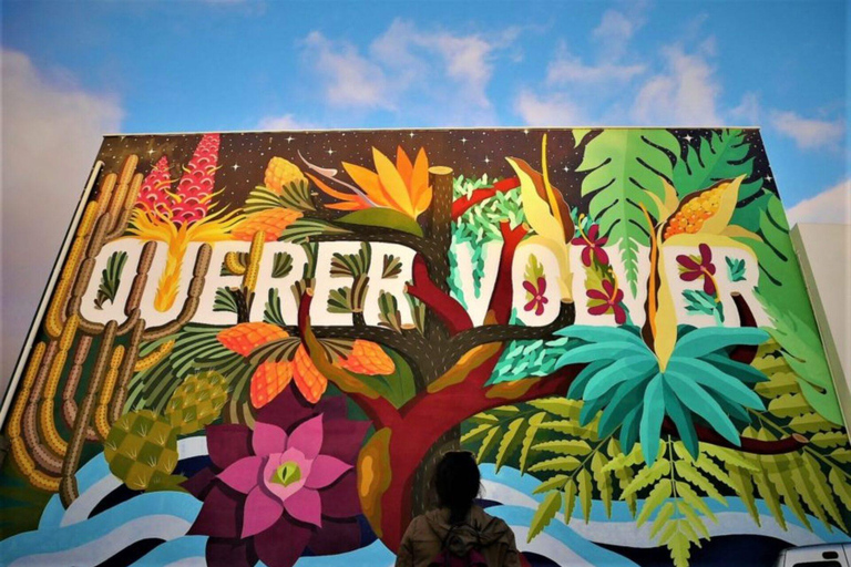 Los Llanos de Aridane: Art & Heritage Private Walking Tour