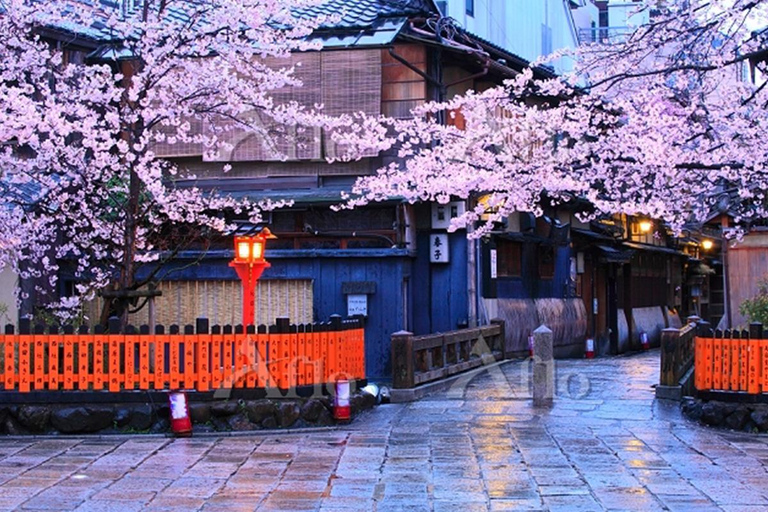 Kyoto Gion: tour a piedi di 2 ore sulla cultura e la storia delle geisha
