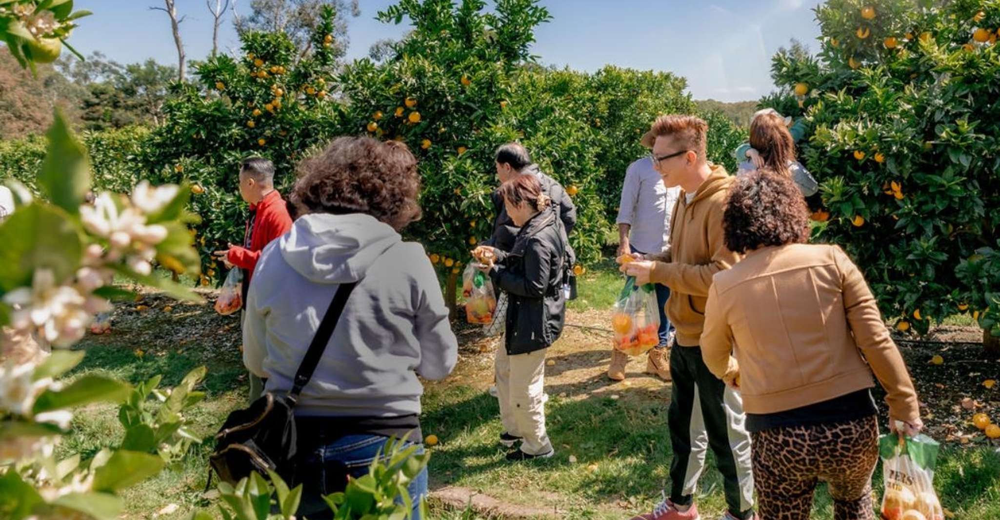 Fruit Picking & Nature Tour Yarra Valley & Warburton, Warburton, Australia