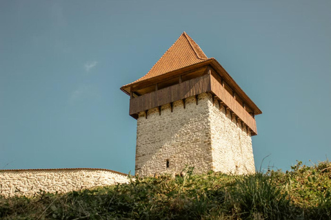Bucharest: Transylvania Castles Tour with Dinner