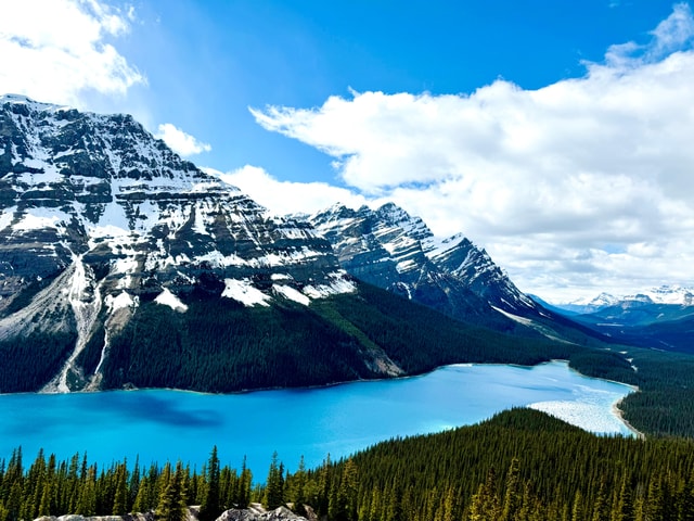 Lake Louise, Peyto Lake, Johnston Canyon & Icefields Parkway