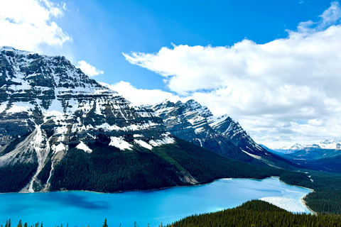 Lac Louise, lac Peyto, canyon de Johnston et promenade des GlaciersTravel Alberta Canmore Visitor Center prise en charge