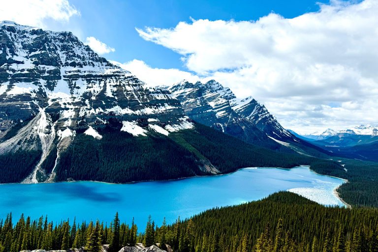 Lac Louise, lac Peyto, canyon de Johnston et promenade des GlaciersTravel Alberta Canmore Visitor Center prise en charge