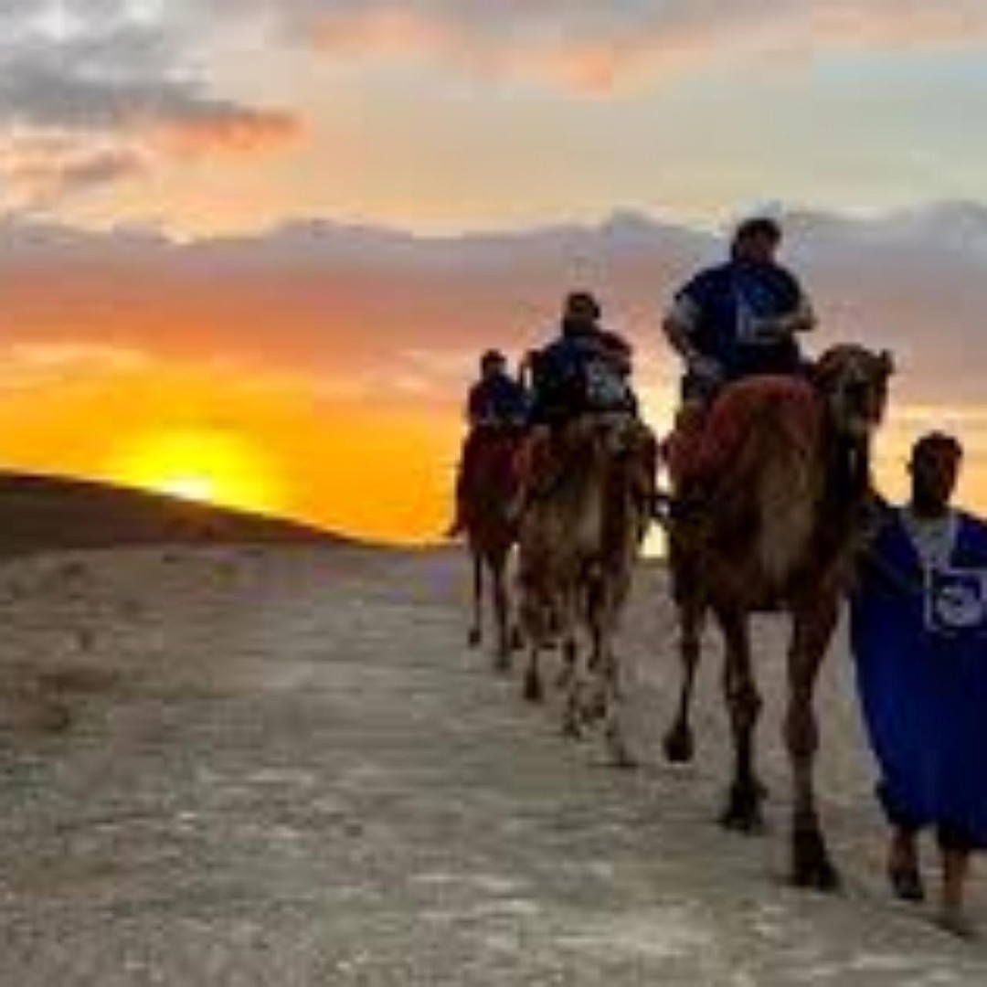 Marrakech : désert d'Agafay avec dîner et balade à dos de chameau, spectacle - dromadaire
