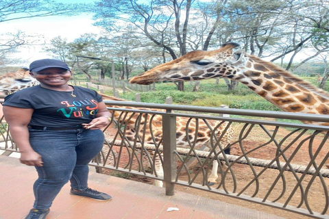 Nairobi National Park, Elephant orphanage & Giraffe Centre