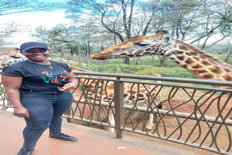 Nairobi National Park, Elephant orphanage & Giraffe Centre