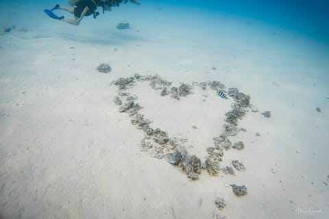 Bora Bora : plongée romantique pour deux personnes (débutants)
