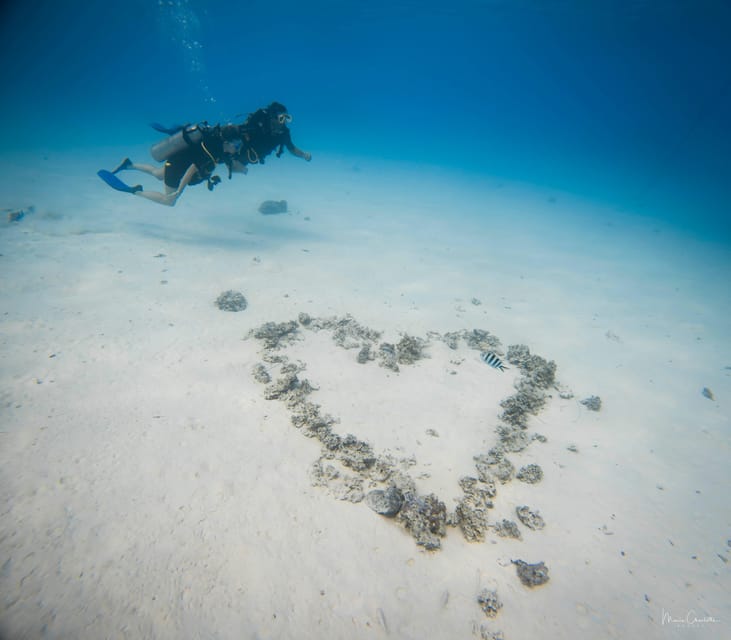 Bora Bora : plongée romantique pour deux personnes (débutants)