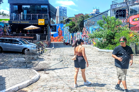 Meilleure visite de la ville de São Paulo - 7 heures d&#039;expérience culturelle