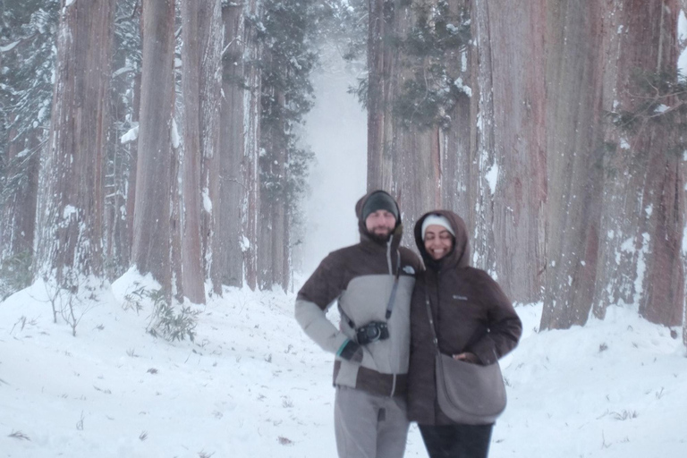 ناغانو: جولة خاصة في ضريح توجاكوشي، ساكي وزينكوجيالاستلام من مدينة ناغانو والمناطق المجاورة