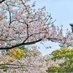 Osaka: tour del castello e dei samurai con opzioni di ingresso
