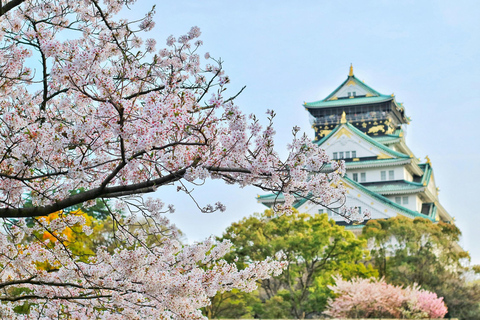 Osaka: Osaka Castle & Samurai History Walking Tour Private Tour in English