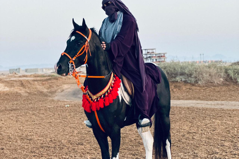 الغردقة: جولة ركوب الخيل في الصحراء والبحر مع خيار السباحةجولة لمدة ساعتين لركوب الخيل بدون السباح