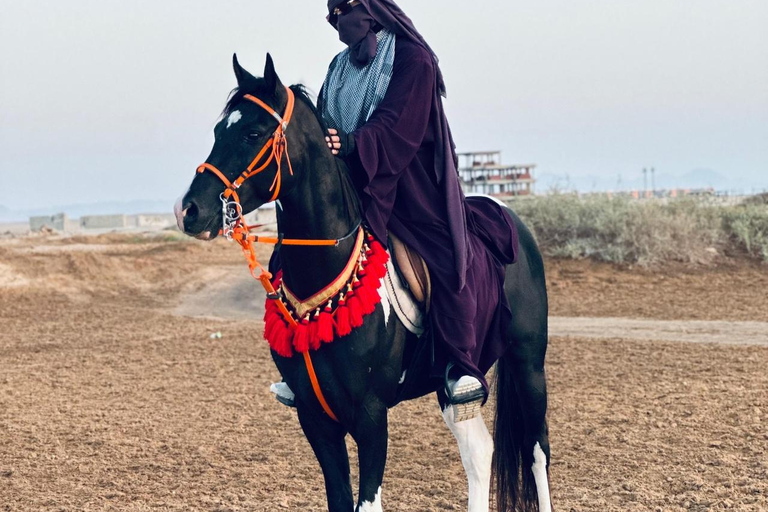 الغردقة: جولة ركوب الخيل في الصحراء والبحر مع خيار السباحةجولة لمدة ساعتين لركوب الخيل بدون السباح