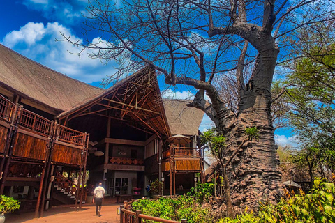 Viagem de 1 dia saindo de Victoria Falls: Safári terrestre e fluvial no Parque Nacional de Chobe