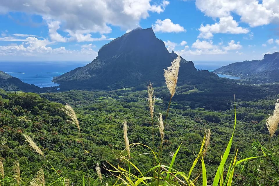 Demi-journée privée à Moorea : randonnée 3 Cocotiers avec déjeuner inclus