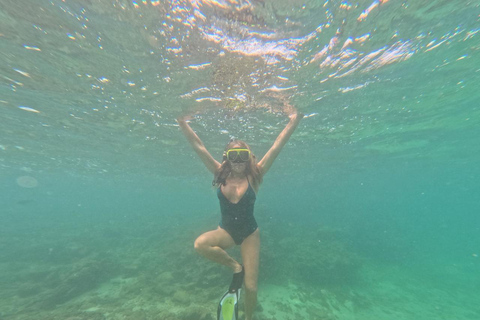 Mirissa VIP Turtles Snorkeling: Pool Training & Free GoPro