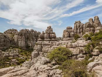 From Malaga & Costa del Sol: 5-Day Andalusia Adventure
