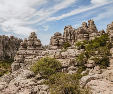 From Malaga & Costa del Sol: 5-Day Andalusia Adventure