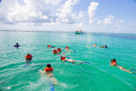 Visite d&#039;une demi-journée de la mer des Caraïbes et du lagon