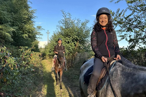 Varese: Horseback Riding through Woodlands and Meadows with Lunch in Fagnano Olona “Merenda” lunch