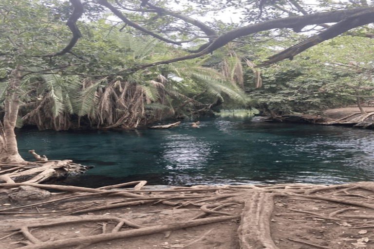 Tanzania: Kilimanjaro 10-Day Adventure with Hot Springs