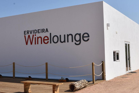 Evora, vignoble et fabrique de bouchons : Transport privé d&#039;une journée