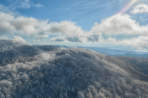 Tbilisi: Sabaduri Forest Siono Lake and Jvari Monastery