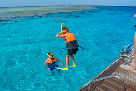 From Sharm El-Sheikh: Ras Mohamed Stingray Station Boat Trip