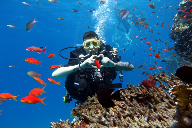 Sharm El Sheikh: Private Boat Trip Snorkeling & Diving