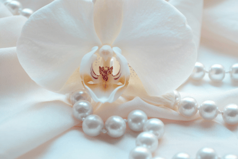 Canopy Forest Tiger Safari ATV Ride ,Feed Elephant Sanctuary Phuket: ATV Ride & Feeding Elephant Sanctuary