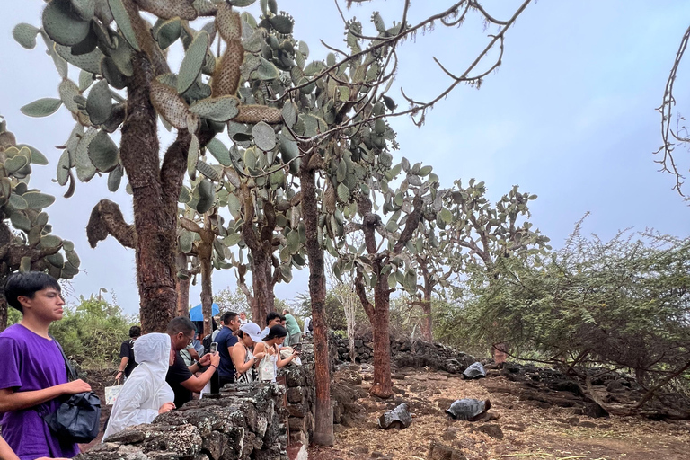 Santa Cruz: 4-Day Snorkel, Tintoreras, Pinzón & Fishing