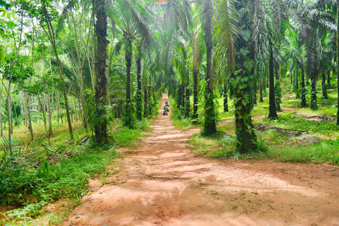 Krabi: Nature View Point Off-Road ATV Adventure 60 Minute ATV Drive with Passenger