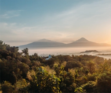 From Yogyakarta: Borobudur Sunrise 8-hour Include Entry Fee